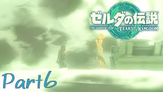 無言でちょっとだけ浮く姫。-ゼルダの伝説 Tears of the Kingdom -part6-