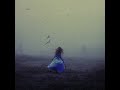 Ludovico Einaudi - Adieux