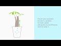 SUStee Watering indicator M set of 5