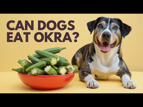 Can Dogs Eat Okra? The Ultimate Guide!