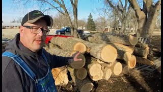 Ash log inventory is growing exponentially.  How am I moving these logs to the wood lot?