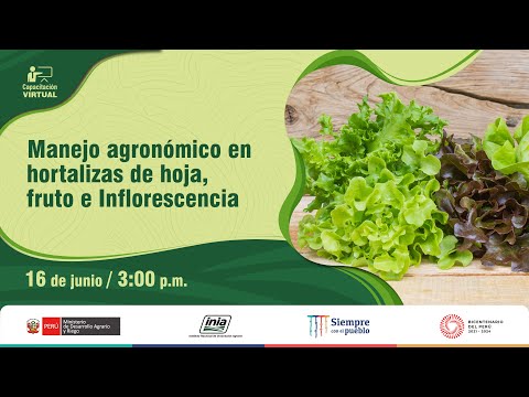 , title : 'Manejo agronómico en hortalizas de hoja, fruto e Inflorescencia'