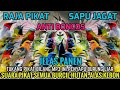 INI BARU 100 SAPU JAGAT SUARA PIKAT SEMUA BURUNG KECIL PALING AMPUH 2025