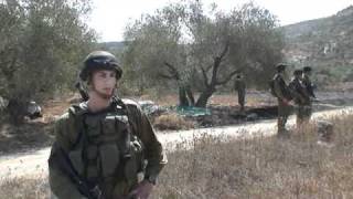 IDF Soldiers Safeguard Palestinians During Olive Harvest Season
