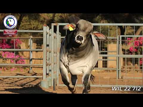 Louma Boerdery WIL 22 712 Veiling/Auction 2025