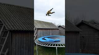 Video thumbnail image
