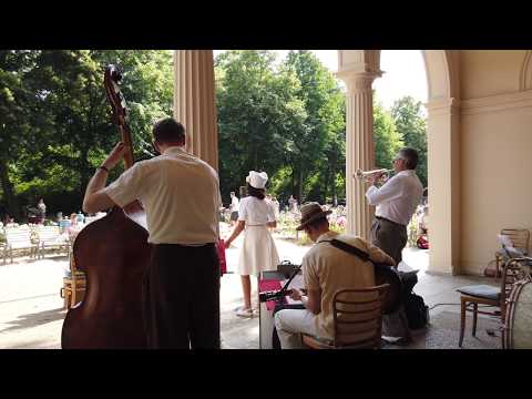 The Swingin‘ Hermlins live im Bürgerpark Pankow - 27.Juni 2020 - Verabschiedung - 4k -