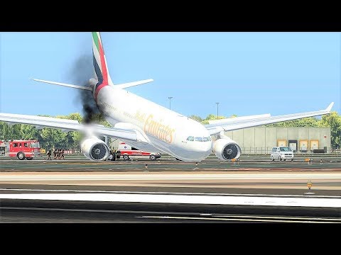 A330 Emergency Landing Due To Bird Strike, Airplane Crashes