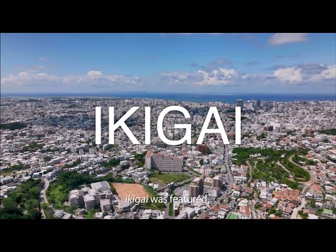 Finding meaning in everyday life "IKIGAI"