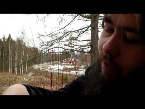 Lankalauantai myöhäis iltaa