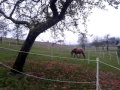 Video 2012 11 07 15 48 26