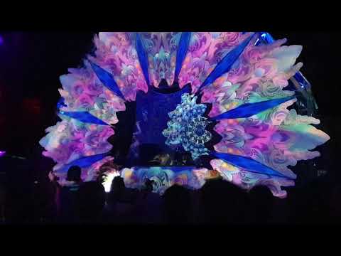 Mutaliens Live at The Experience Festival performing on last night