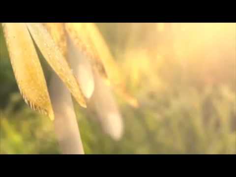 download lagu mp3 mp4 How To Cook Zarafa Rice, download mp3 How To Cook Zarafa Rice free download, download mp3 How To Cook Zarafa Rice