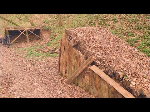 Life Riders - Leśny kocur i Koci Pazur, GC - Aline