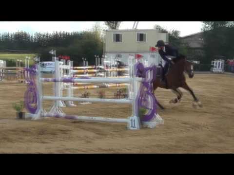 Sportpferde Matthias Keil - Esprit