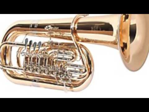 Plog Mvt III   Maxwell