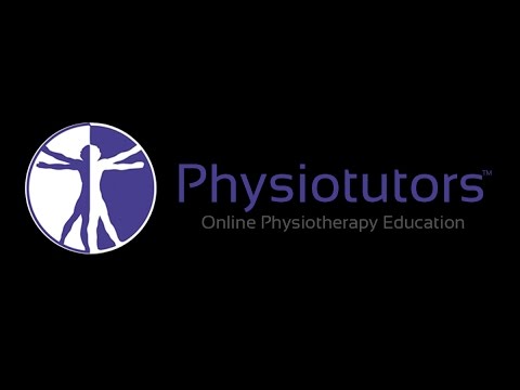 Physiotutoren Live-Stream-Test