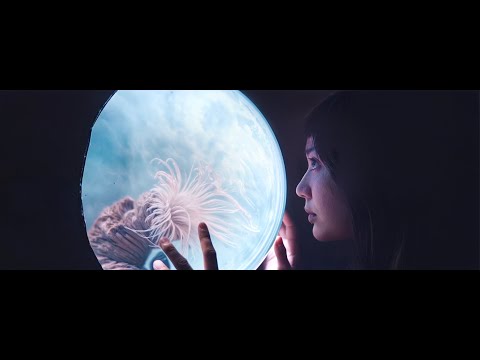 Brickcity - Bermuda Noise