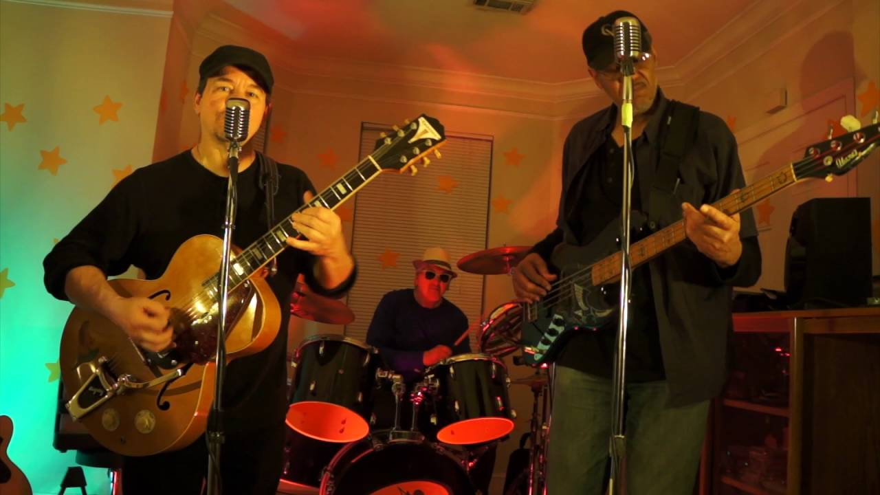 Promotional video thumbnail 5 for The Mocats Band