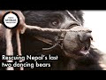 Rescuing Nepal’s last two ‘dancing bears’