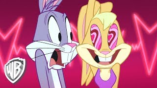 Kadr z teledysku On est amoureux! [We Are in Love] tekst piosenki The Looney Tunes Show (OST)