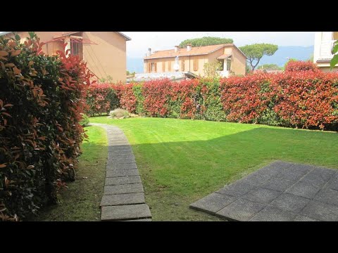 Il Palco residence, Cinquale, Italy