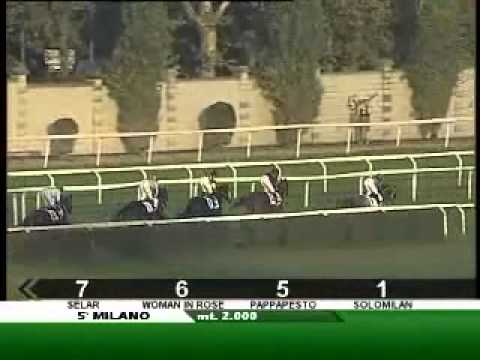 pappapesto dario vargiu