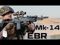 Mk14 Mod 0 EBR, The M-14 when given enough steroids to kill a horse.