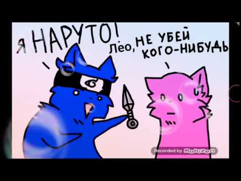 Кошка Лана и Кот Леонард