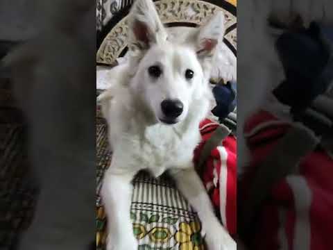 🥰🥰😘🥰🥰😘❣️