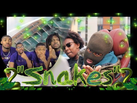 AMERICANS REACT TO 38 x Alz (YMN) - Snakes | @PacmanTV