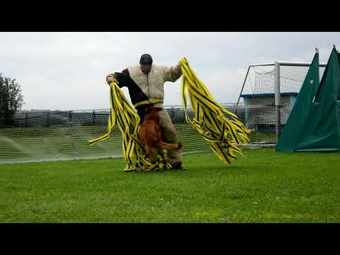 Marcin Gawron and Arnon