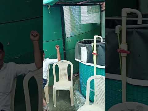 Aquaponics practical training kalaburagi