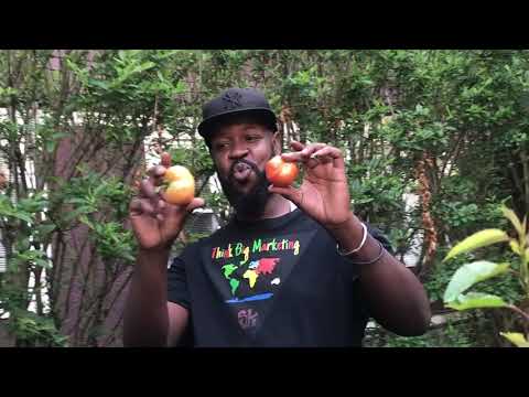 Deebzlenuz - Backyard Garden - Official Music Video