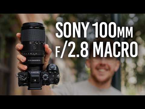 Sony MACRO 100mm f/2.8 G Master: The Lens We’ve Waited For