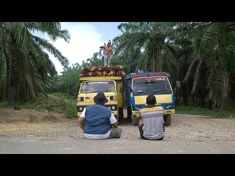 Apakah benar bahwa Anda dapat menurunkan berat badan pada sereal Daftar semua produk dari yang tumbuh tipis