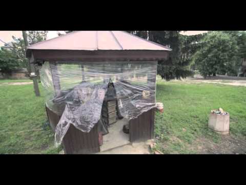 Bashmotion Vlog 044 - Особеностите на исперихтяните и 450 коня