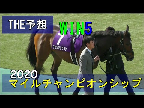 競馬　THE予想　WIN5　2020マイルチャンピオンシップ
