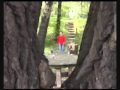 Dr IGGY - Tražim te 