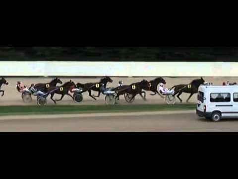 Deutsches Traber St Leger 2013 Stutenlauf_Mustang's Sally 1:16,7_Robin Bakker