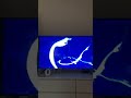 FremantleMedia Logo Part 2 Final