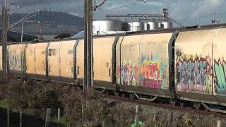 preview picture of video 'Palmerston North (Milson - 251, 2DL+2DX) 2011-08-09'