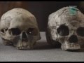 Documentary Nature - Paleoworld - Missing Links