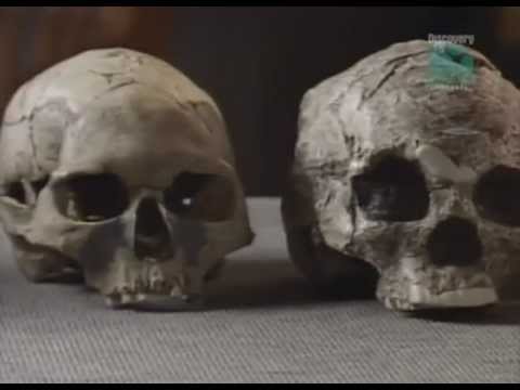 Paleoworld - Missing Links
