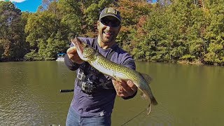 SLAM COMPLETE! Pre-Halloween Bass Fishing w/ a SCARY GOOD Mystery Tackle Box!!!