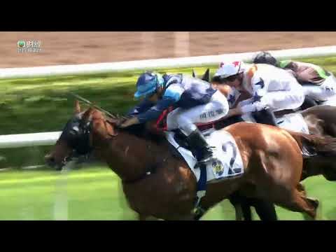 2022/23 (466) - Duke Wai (韋小寶) - 周俊樂