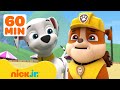 Patrulha Canina PAW Patrol Sente Grandes Emoções Com Marshall E Chase 3 60 Minutos Nick Jr