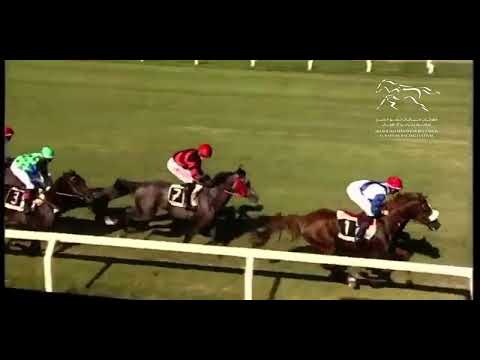 PREMIO SHEIKH ZAYED BIN SULTAN AL NAHYAN LISTED CUP - IPPODROMO CAPANNELLE - 10/09/2023