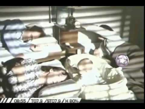 Tres alegres fugitivos (1988) Completa