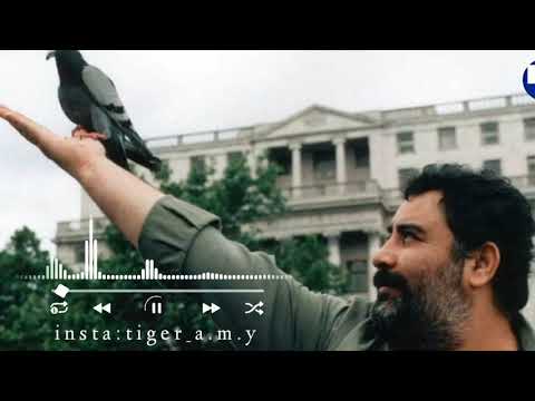 Ahmet Kaya - Güle Yle Değdi (Official Lyrics Video)